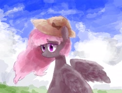 Size: 1447x1102 | Tagged: safe, artist:laurasrxfgcc, oc, oc only, pegasus, pony, blushing, cloud, day, female, hat, mare, outdoors, pegasus oc, sky, smiling, solo, wings