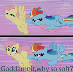Size: 2317x2309 | Tagged: safe, artist:cozy cloud, derpibooru exclusive, edit, edited screencap, screencap, fluttershy, rainbow dash, pegasus, pony, g4, the super speedy cider squeezy 6000, caption, duo, female, high res, image macro, lesbian, multicolored hair, multicolored mane, multicolored tail, ship:flutterdash, shipping, tail, text