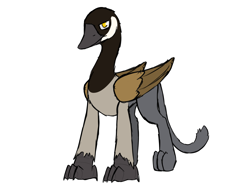Size: 2600x2000 | Tagged: safe, artist:somber, oc, oc only, oc:busker, bird, goose, griffon, griffon oc, high res, male, simple background, solo, transparent background