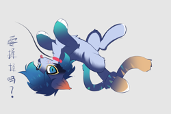 Size: 1500x1000 | Tagged: safe, artist:neverend, oc, earth pony, pony, :p, blushing, cat tail, chinese character, collar, eyebrows, eyebrows visible through hair, gradient mane, leash, looking at you, lying down, multicolored body, on back, question mark, simple background, tail, tongue out, whiskers