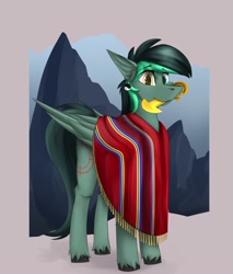 Size: 1700x2000 | Tagged: safe, artist:observerdoz, oc, oc only, oc:target strike, pegasus, pony, clothes, ear piercing, earring, heterochromia, jewelry, male, mountain, mouth hold, partial background, piercing, poncho, solo