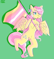 Size: 1698x1852 | Tagged: safe, artist:cheesebunart, part of a set, fluttershy, pegasus, pony, g4, female, flag, green background, mare, pangender pride flag, pride, pride flag, simple background, solo, wings