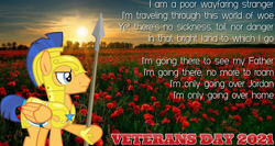 Size: 2064x1101 | Tagged: safe, artist:not-yet-a-brony, flash sentry, pegasus, pony, g4, 1917, armor, belgium, flanders fields, flower, lyrics, male, movie reference, poppy, remembrance day, royal guard armor, song reference, stallion, sunset, text, veterans day, world war i, youtube link, youtube link in the description