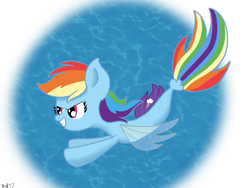 Size: 849x637 | Tagged: safe, artist:doct0rnop3, rainbow dash, pegasus, pony, seapony (g4), g4, blue background, dorsal fin, female, fin wings, fins, fish tail, flowing tail, grin, ocean, pink eyes, seaponified, seapony rainbow dash, simple background, smiling, solo, species swap, swimming, tail, teeth, underwater, water, wings