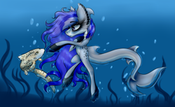 Size: 3797x2317 | Tagged: safe, artist:beamybutt, oc, oc only, original species, pony, shark, shark pony, bubble, coral, crepuscular rays, dorsal fin, duo, ear fluff, fin, fish tail, flowing mane, flowing tail, high res, ocean, seaweed, sunlight, swimming, tail, underwater, water