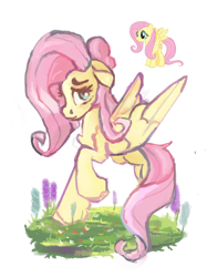 Size: 1200x1601 | Tagged: safe, artist:megalura, fluttershy, pegasus, pony, g4, chest fluff, female, floppy ears, looking at you, mare, partial background, raised hoof, reference, simple background, solo, spread wings, standing, white background, wings