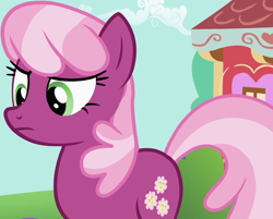 Size: 1130x909 | Tagged: safe, screencap, cheerilee, earth pony, pony, season 2, the cutie pox, cropped, female, frown, mare, solo