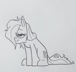 Size: 1942x1826 | Tagged: artist needed, source needed, safe, oc, oc only, earth pony, pony, female, monochrome, solo