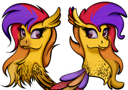 Size: 1024x727 | Tagged: safe, artist:victoria-luna, oc, oc only, classical hippogriff, hippogriff, seapony (g4), beak, bust, chest fluff, eyelashes, feather, female, portrait, purple eyes, simple background, smiling, solo, transparent background, wings