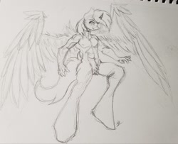 Size: 2048x1666 | Tagged: safe, artist:skygunner, oc, oc only, oc:noteworthy, alicorn, anthro, male, pubic fluff, sketch, solo, traditional art