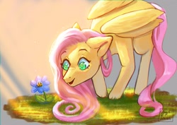 Size: 4093x2894 | Tagged: safe, artist:jaynsparkle, fluttershy, bee, insect, pegasus, pony, g4, blushing, crepuscular rays, cute, daaaaaaaaaaaw, female, floppy ears, flower, folded wings, high res, looking at something, looking down, mare, open mouth, shyabetes, smiling, solo, wings