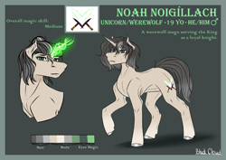 Size: 4093x2894 | Tagged: safe, artist:blackcloud2000, oc, oc only, oc:noah noigillach, pony, unicorn, male, reference sheet, solo, stallion