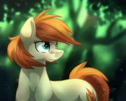 Size: 2000x1600 | Tagged: safe, artist:bakud, oc, oc only, earth pony, pony, earth pony oc, female, forest, mare, outdoors, signature, solo