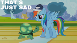 Size: 1920x1080 | Tagged: safe, edit, edited screencap, editor:quoterific, screencap, rainbow dash, tank, pegasus, pony, tortoise, g4, may the best pet win, season 2, cap, coach rainbow dash, female, hat, male, mare, rainbow dashs coaching whistle, rainbow douche, spread wings, whistle, whistle necklace, wings