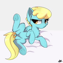 Size: 3000x3000 | Tagged: safe, artist:starmaster, sassaflash, pegasus, pony, g4, background pony, bed, chest fluff, commission, dock, featureless crotch, female, fluffy, high res, mare, on bed, raised leg, solo, spread legs, spreading, tail, underhoof, ych result