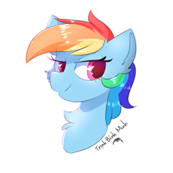 Size: 800x800 | Tagged: safe, artist:morningbullet, rainbow dash, pony, g4, cheek fluff, chest fluff, colored pupils, ear fluff, female, lidded eyes, mare, simple background, solo, white background