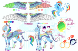 Size: 1280x850 | Tagged: safe, artist:malinraf1615, rainbow dash, pony, g4, alternate design, colored wings, multicolored wings, reference sheet, solo, wings