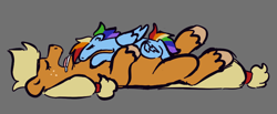 Size: 1590x653 | Tagged: safe, artist:tezzbot, applejack, rainbow dash, earth pony, pegasus, pony, g4, drool, female, gray background, lesbian, lying down, mare, on back, open mouth, prone, ship:appledash, shipping, simple background, size difference, sleeping, snoring