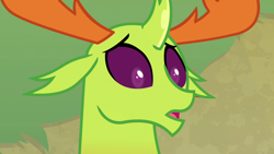 Size: 1280x720 | Tagged: safe, screencap, thorax, changedling, changeling, g4, season 7, triple threat, concerned, cute, king thorax, male, open mouth, reaction image, silent, solo, surprised, thorabetes