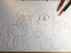 Size: 1048x786 | Tagged: safe, artist:huodx, fluttershy, oc, oc:dotmare, earth pony, pegasus, pony, g4, female, grayscale, looking at each other, looking at you, mare, monochrome, pencil, pencil drawing, traditional art
