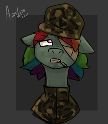 Size: 1300x1500 | Tagged: safe, artist:azulejo, rainbow dash, pony, g4, angry, cigarette, female, hat, short hair, short mane, simple background, soldier, solo