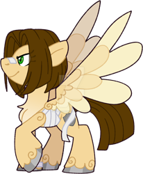Size: 1280x1552 | Tagged: safe, artist:rohans-ponies, oc, oc only, pegasus, pony, male, simple background, solo, stallion, transparent background