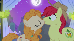 Size: 1280x720 | Tagged: safe, screencap, bright mac, pear butter, earth pony, pony, g4, season 7, the perfect pear, duo, female, kiss on the lips, kissing, male, mare, mare in the moon, moon, ship:brightbutter, shipping, stallion, straight