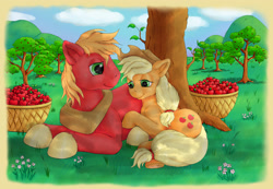 Size: 3614x2500 | Tagged: safe, artist:ratwhiskers, applejack, big macintosh, earth pony, pony, g4, apple, apple tree, basket, brother and sister, duo, female, flower, food, high res, lying down, male, mare, on side, orchard, prone, resting, siblings, smiling, stallion, tree
