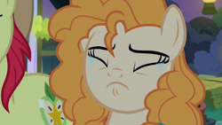 Size: 1280x720 | Tagged: safe, screencap, bright mac, pear butter, earth pony, pony, g4, the perfect pear, crying, duo, eyes closed, female, heartbreak, male, mare, sad, stallion