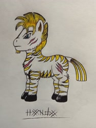 Size: 3120x4160 | Tagged: safe, artist:firehearttheinferno, oc, oc:hondo, zebra, fallout equestria, fallout equestria: equestria the beautiful, black hooves, blonde, blonde hair, blonde mane, blue eyes, concept art, concept for a fanfic, ears, facial hair, fallout equestria oc, full body, goatee, gold striped zebra, hooves, ink drawing, mane, marker drawing, scar, stripes, tail, traditional art, zebra oc