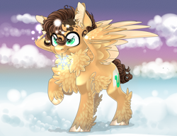 Size: 3685x2834 | Tagged: safe, artist:schokocream, oc, oc only, pegasus, pony, chest fluff, cloud, commission, ear fluff, high res, on a cloud, pegasus oc, raised hoof, solo, ych result