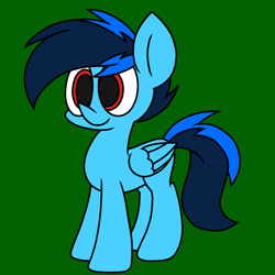 Size: 2344x2344 | Tagged: safe, artist:derpyalex2, oc, oc only, oc:shy-fly, pegasus, pony, high res, male, solo