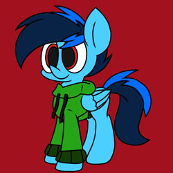 Size: 2344x2344 | Tagged: safe, artist:derpyalex2, oc, oc only, oc:shy-fly, pegasus, pony, clothes, high res, hoodie, jacket, male, sweater