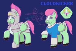 Size: 1772x1181 | Tagged: safe, artist:shacy's pagelings, oc, oc only, oc:cloudkicker, pegasus, pony, male, oc sheet, reference sheet, solo