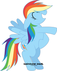 Size: 7042x8660 | Tagged: safe, artist:oobrushstrokeoo, rainbow dash, pegasus, pony, g4, absurd resolution, backwards cutie mark, bipedal, eyes closed, female, grin, laughing, mare, open mouth, pointing, simple background, smiling, solo, transparent background