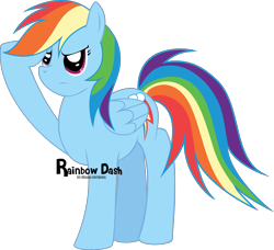 Size: 2204x2008 | Tagged: safe, artist:oobrushstrokeoo, rainbow dash, pegasus, pony, g4, backwards cutie mark, female, high res, salute, simple background, solo, transparent background