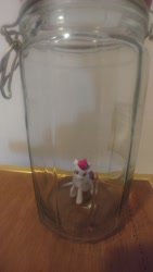 Size: 2340x4160 | Tagged: safe, zipp storm, pegasus, pony, g5, my little pony: a new generation, every day we stray further from celestia, here we go again, irl, iwtcizs, jar, lewd container meme, meme, photo, pony in a bottle, solo, toy, why