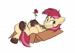 Size: 2560x1802 | Tagged: safe, artist:fanzeem, roseluck, earth pony, pony, g4, behaving like a cat, box, collar, commission, commissioner:doom9454, cute, female, flower, looking at you, lying down, mare, on back, pet tag, pony in a box, pony pet, rose, rosepet, simple background, smiling, smiling at you, solo, unshorn fetlocks, white background