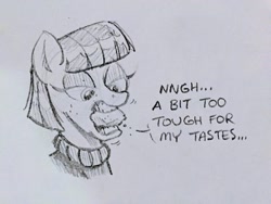 Size: 2048x1536 | Tagged: safe, artist:mellodillo, maud pie, earth pony, pony, g4, bust, dialogue, eating, female, grayscale, lithophage, mare, monochrome, mouth hold, pencil drawing, rock, solo, traditional art