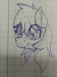 Size: 2195x2955 | Tagged: safe, artist:sefastpone, oc, oc only, pony, female, graph paper, high res, lined paper, mare, photo, sketch, solo, traditional art