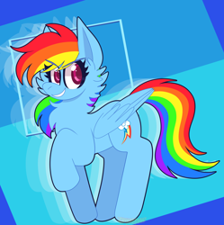 Size: 1992x2000 | Tagged: safe, artist:saveraedae, rainbow dash, pegasus, pony, g4, backwards cutie mark, cheek fluff, chest fluff, female, looking at you, mare, raised hoof, solo