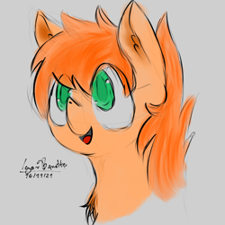 Size: 1000x1000 | Tagged: safe, artist:igorbanette, oc, oc only, oc:spice flare, pony, bust, solo