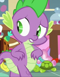 Size: 562x721 | Tagged: safe, screencap, spike, dragon, a flurry of emotions, g4, season 7, cropped, solo, toy