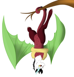 Size: 478x494 | Tagged: safe, artist:schokocream, oc, oc only, draconequus, draconequus oc, prehensile tail, simple background, solo, tail, tree branch, upside down, white background, wings