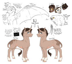 Size: 2587x2302 | Tagged: safe, artist:royvdhel-art, oc, oc only, oc:rj, bird, owl, pony, unicorn, colored hooves, female, high res, horn, leonine tail, mare, reference sheet, story included, tail, unicorn oc