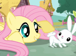 Size: 1280x946 | Tagged: safe, screencap, angel bunny, fluttershy, spike, dragon, pegasus, pony, rabbit, g4, just for sidekicks, season 3, angelbetes, animal, animated, cute, fluffy tail, gif, offscreen character, shyabetes, tail, trio