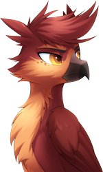 Size: 1413x2355 | Tagged: safe, artist:scarlet-spectrum, oc, oc only, oc:fynnegan, griffon, bust, cheek fluff, chest fluff, colored pupils, eyebrows, folded wings, griffon oc, male, simple background, solo, transparent background, wings