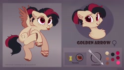 Size: 3460x1952 | Tagged: safe, artist:raily, oc, oc only, oc:golden arrow, pegasus, pony, reference sheet, solo