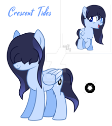 Size: 1280x1446 | Tagged: safe, artist:hate-love12, oc, oc only, oc:crescent tides, pegasus, pony, female, filly, mare, simple background, solo, transparent background