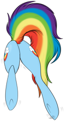 Size: 1140x2146 | Tagged: safe, artist:beamybutt, rainbow dash, pony, g4, backwards cutie mark, both cutie marks, butt, butt only, plot, simple background, solo, tail, transparent background, underhoof